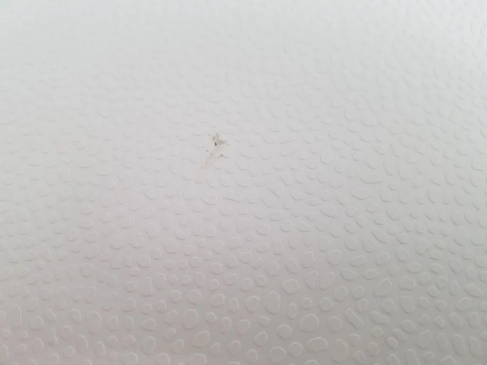 Slide of Redhawk Electric