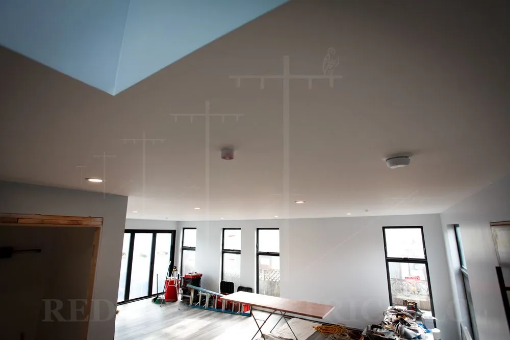 Slide of Redtail Electric