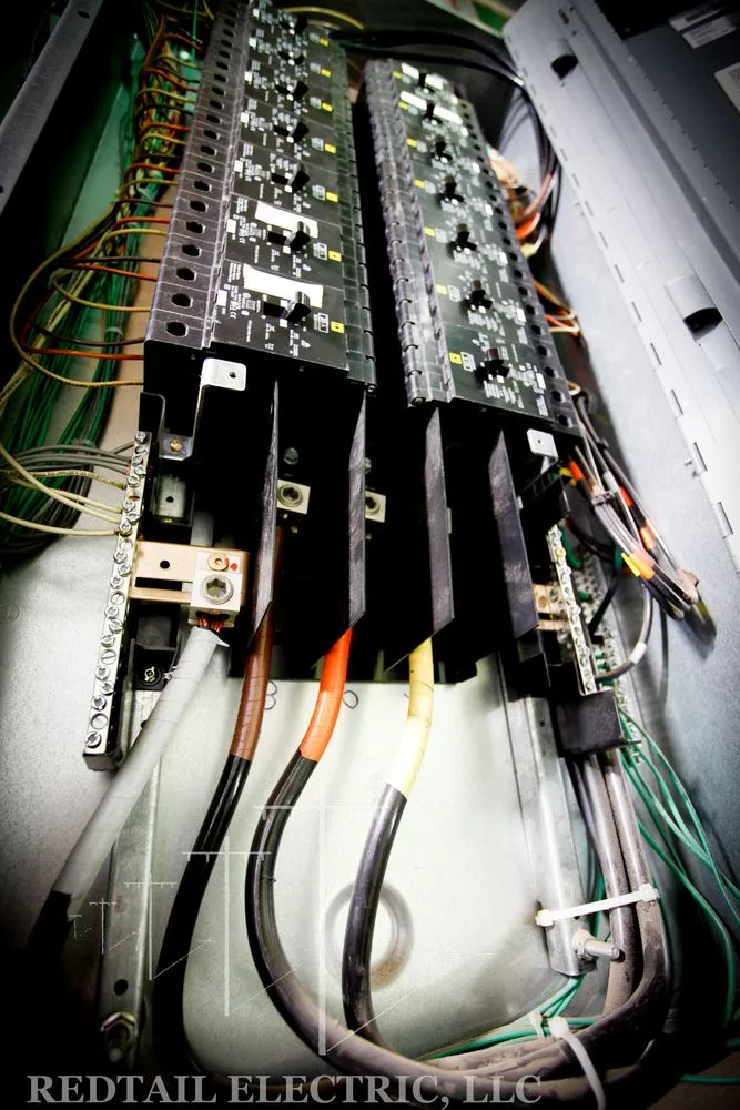 Slide of Redtail Electric