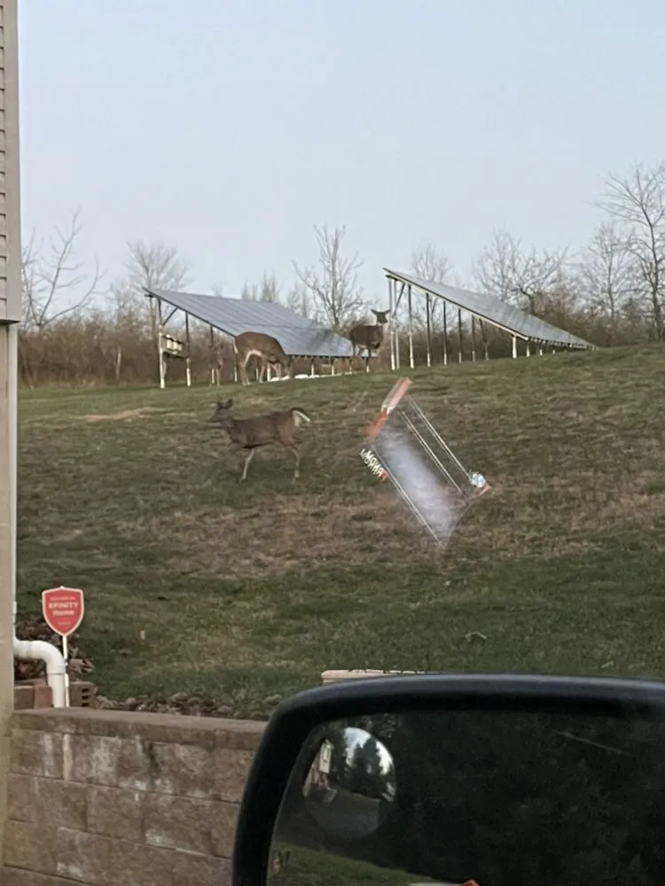 Slide of Redtail Solar