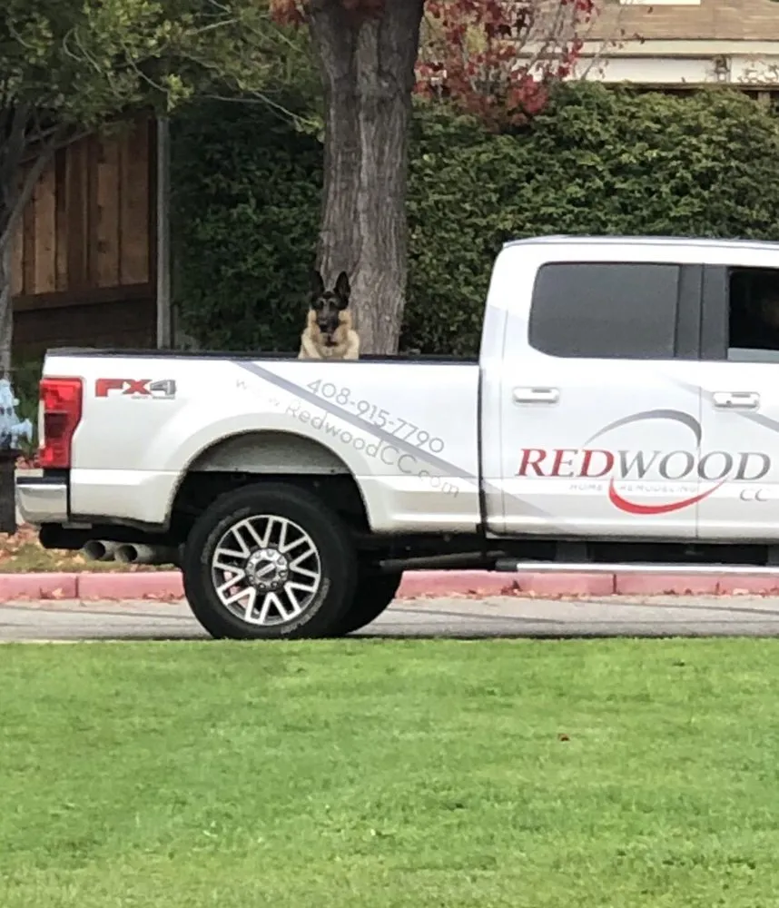 Slide of Redwood C C