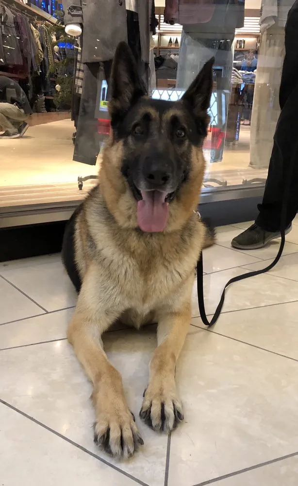 Slide of Redwood C C