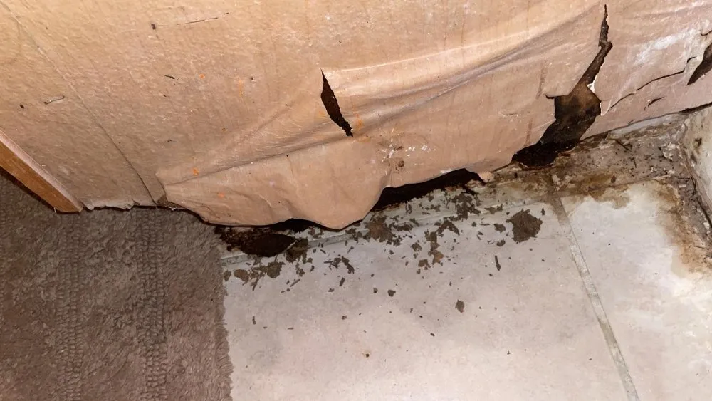 Slide of Redzer Services