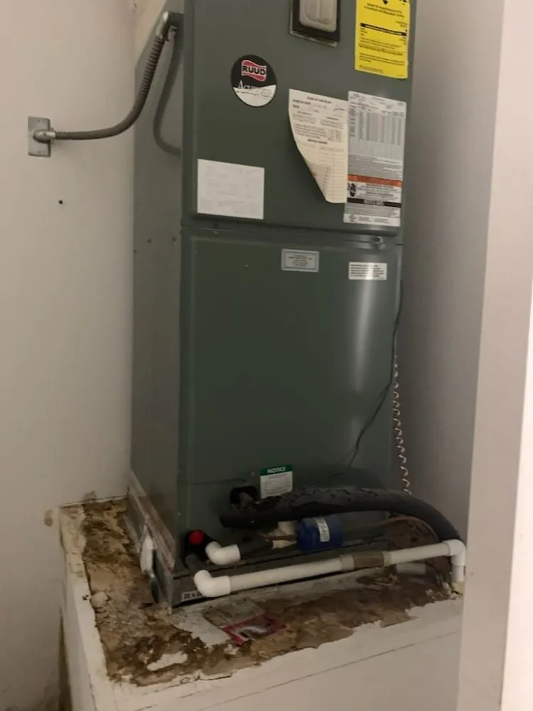 Licensed panel upgrade service in ,  - Redzer Services