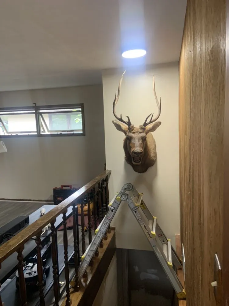 Slide of Reed Reliance