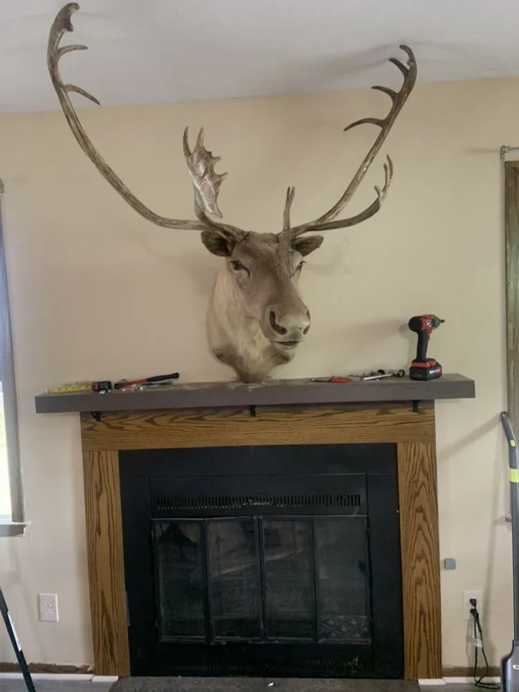 Slide of Reed Reliance