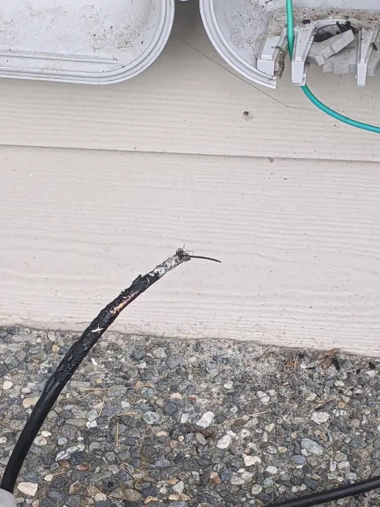 Slide of Reign City Electric