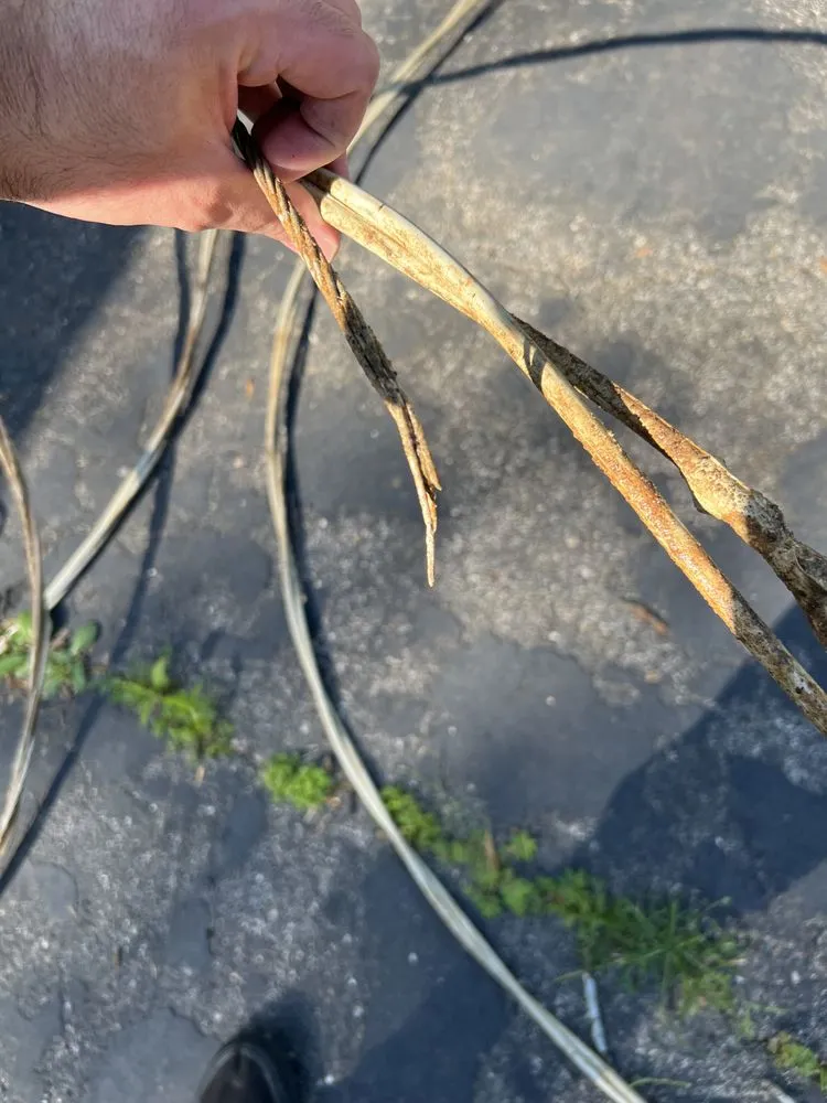 Slide of Reinhold Electric