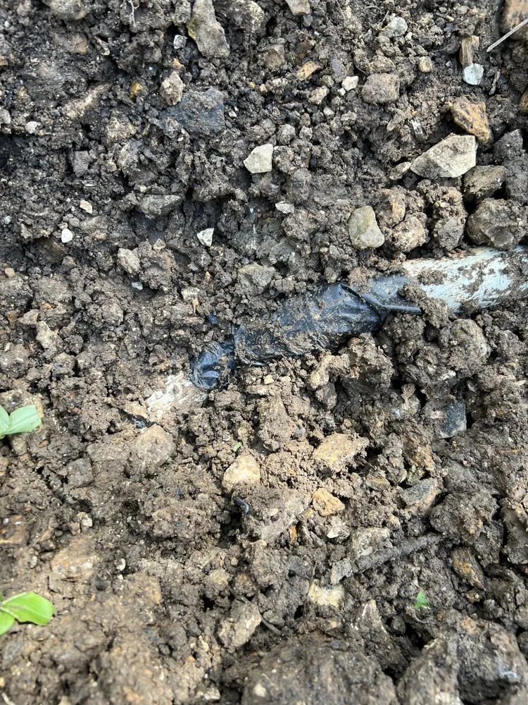 Slide of Reinhold Electric