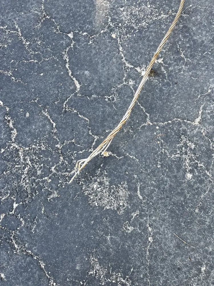 Slide of Reinhold Electric