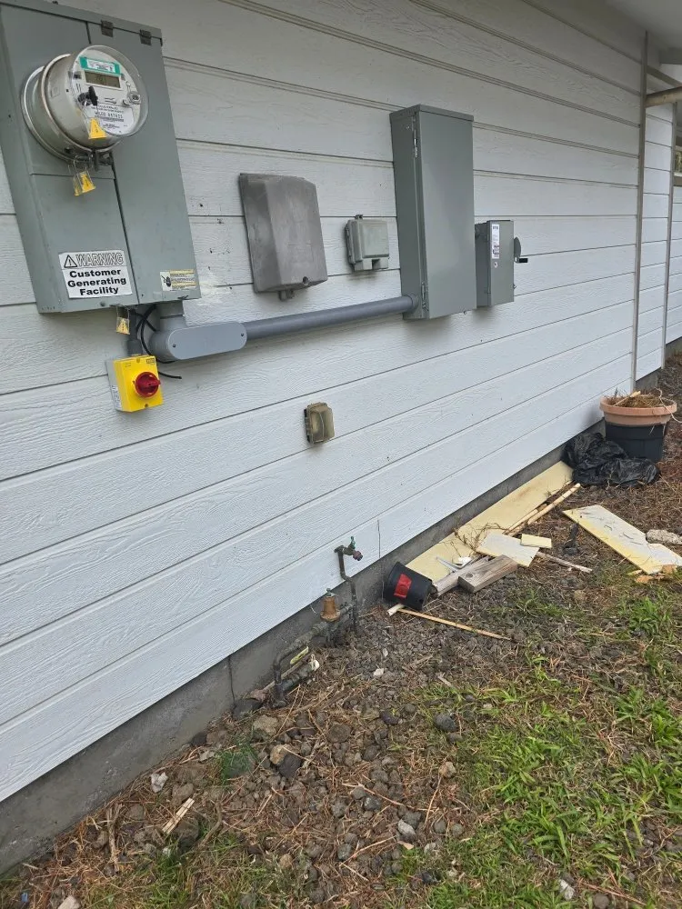 Slide of Reiny P K Carvalho