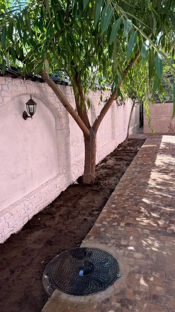 Slide of Reliable Master