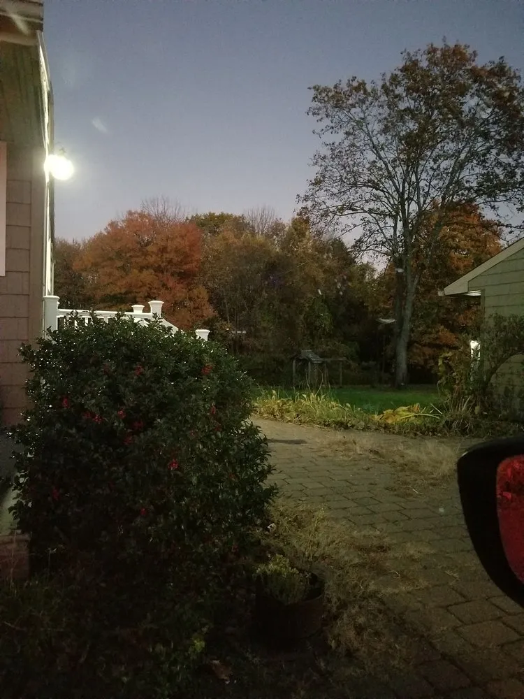 Slide of Reliant Electric