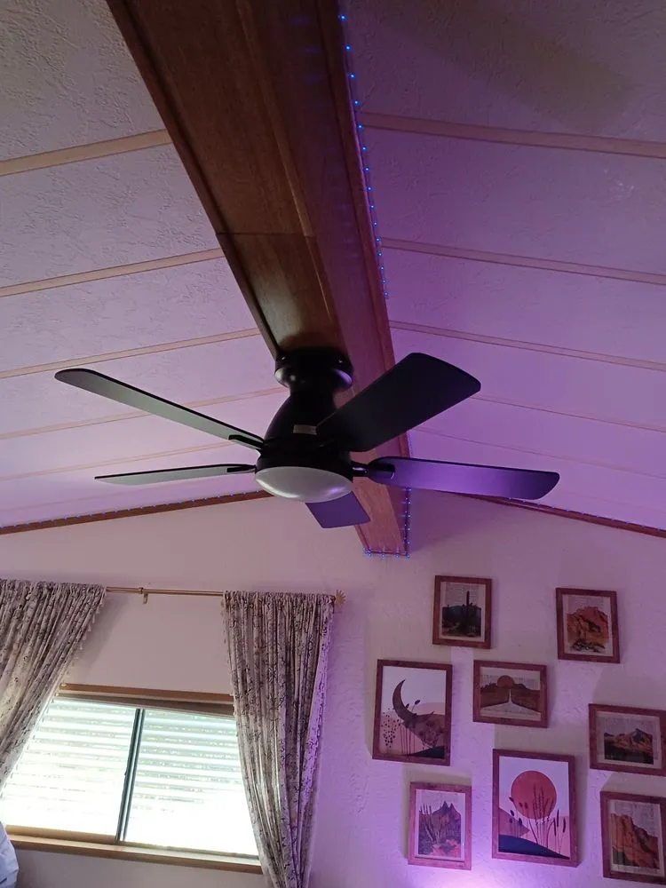 Slide of Reliant Electric