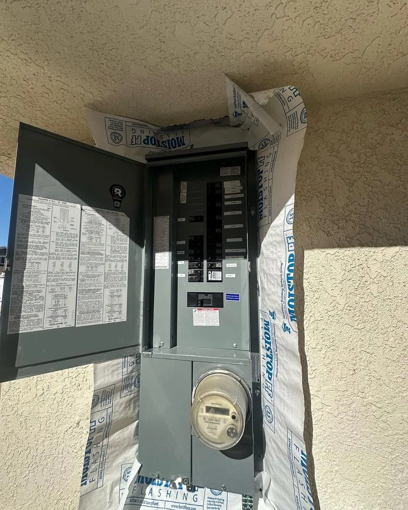 Slide of Reliant Electric