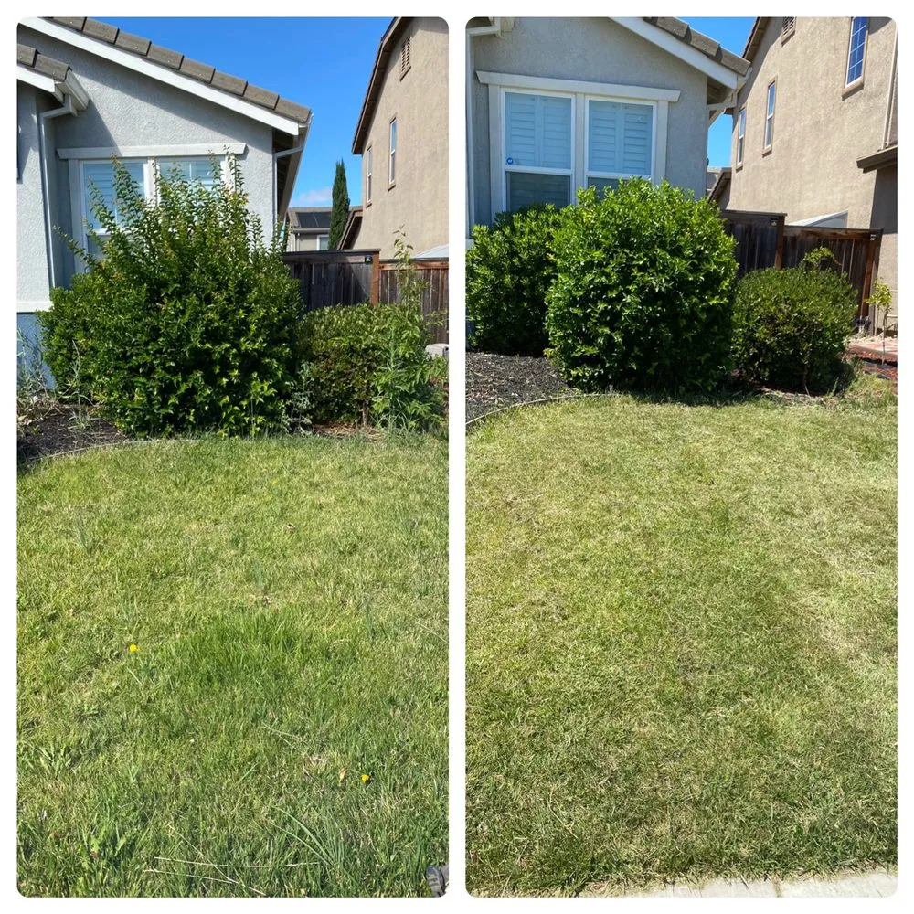 Slide of Rell Bro Pros