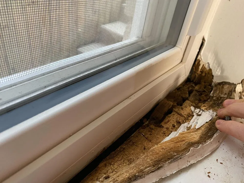 Slide of Renaissance Handyman & Painting