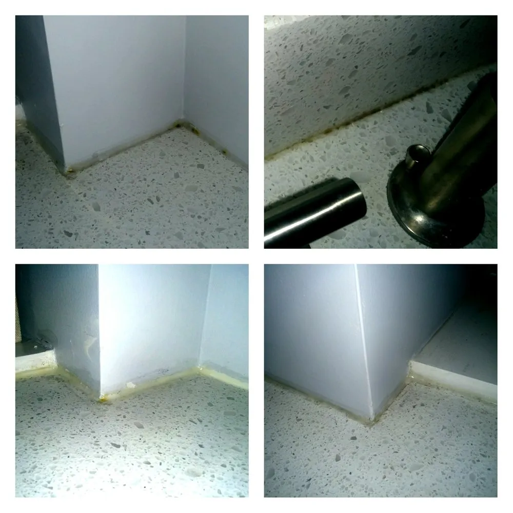 Slide of Renaissance Handyman & Painting