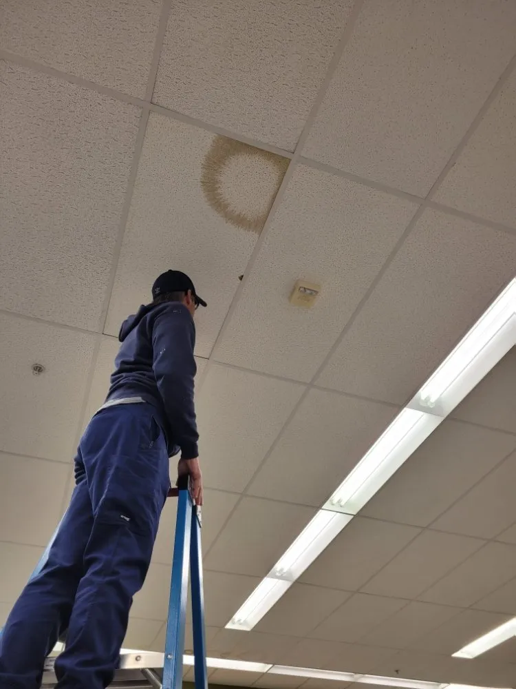 Slide of Rensselaer Construction