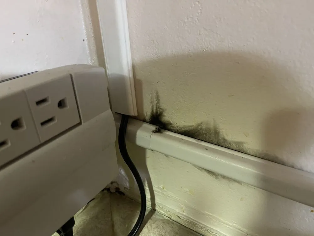 Slide of Rescue Electric