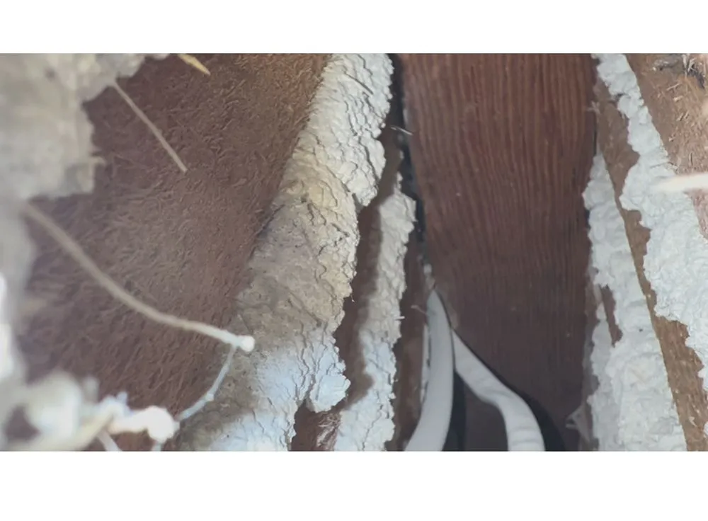 Expert electrician providing electrical repair in , 