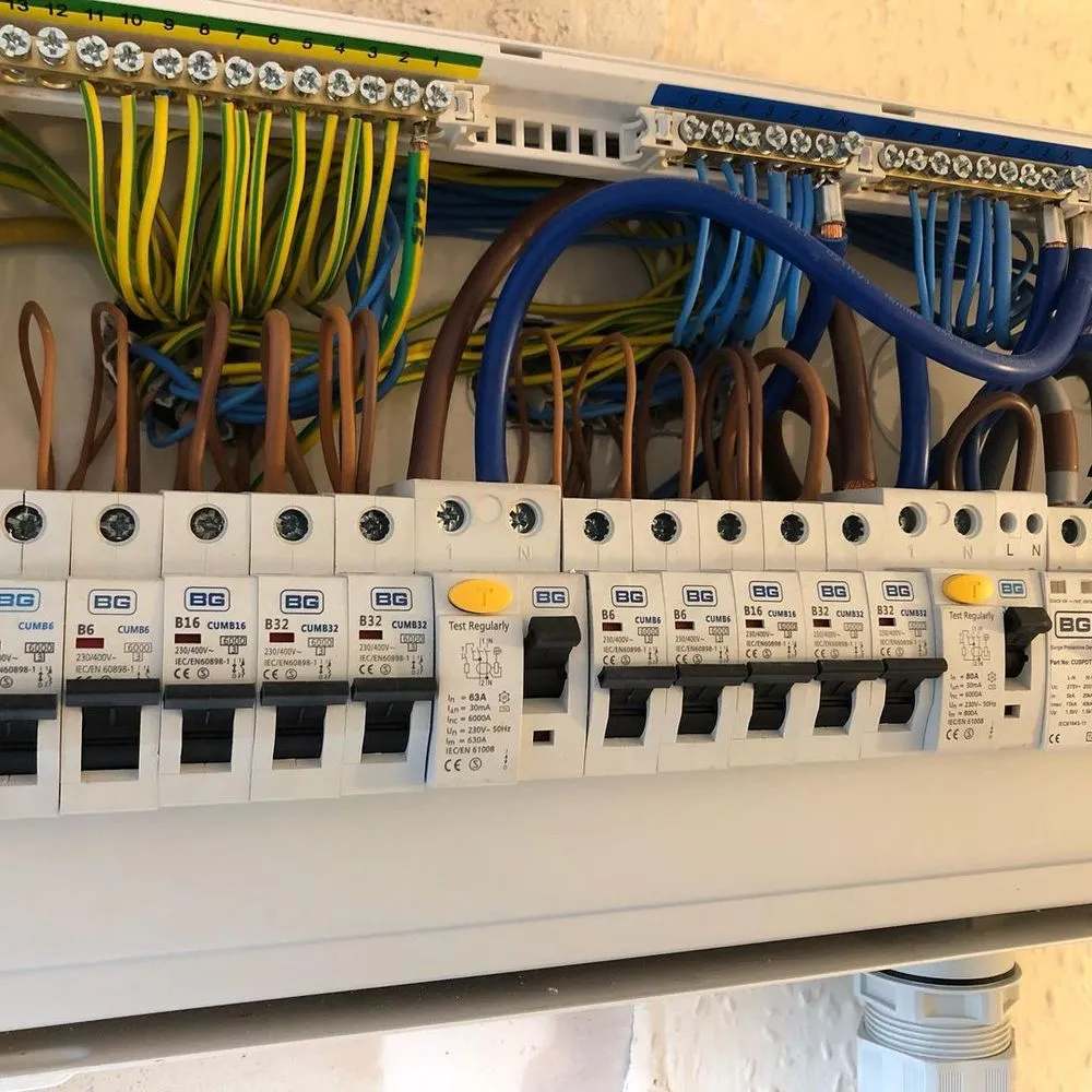 Slide of Resplendent Electricians