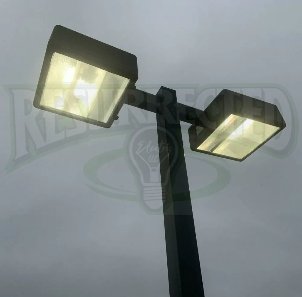 Slide of Resurrected Electric