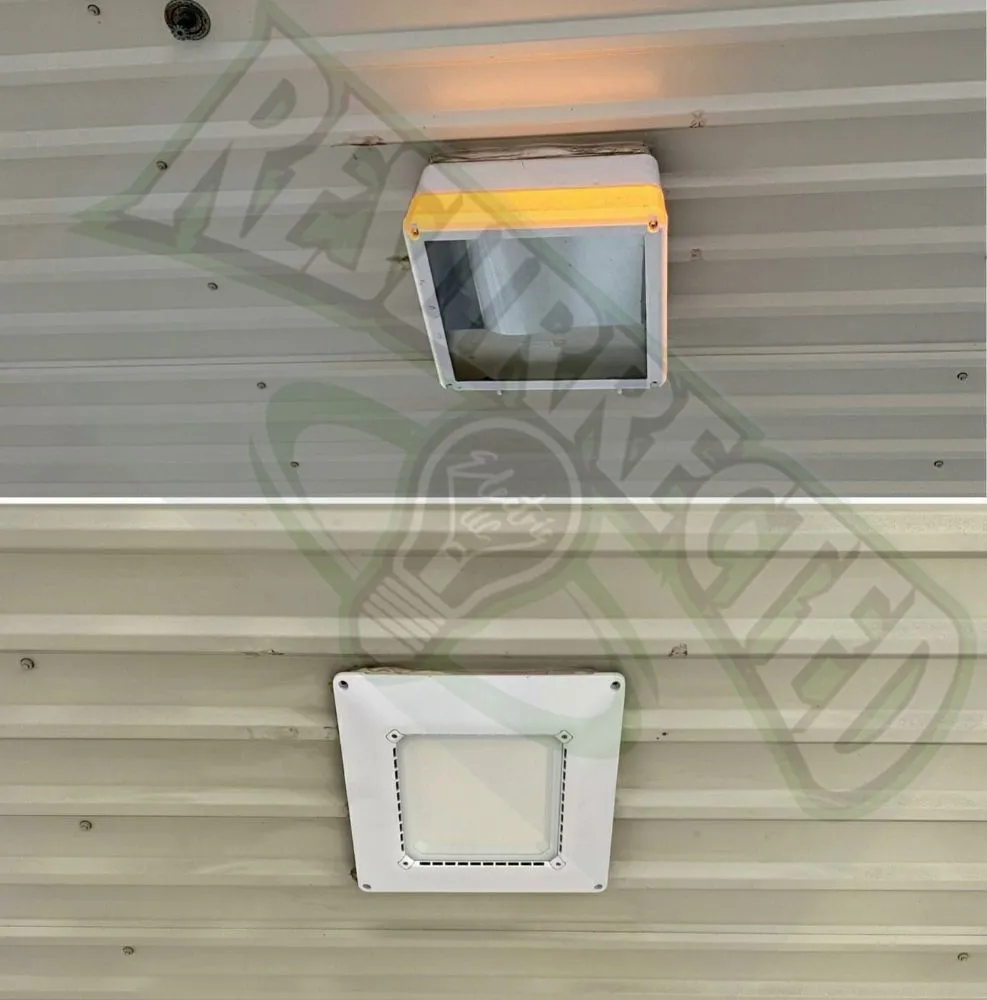 Slide of Resurrected Electric