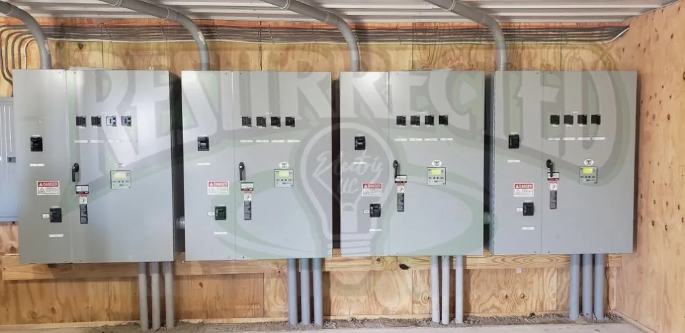 Slide of Resurrected Electric