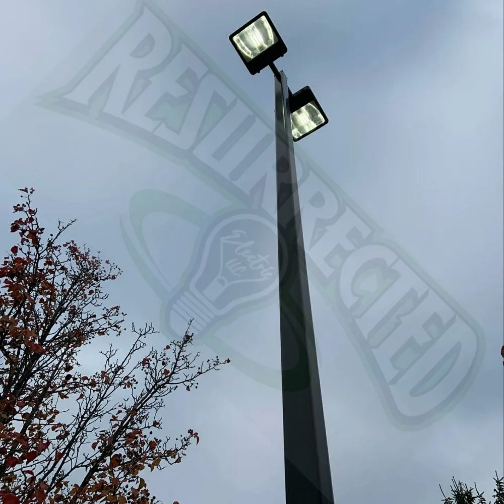 Slide of Resurrected Electric