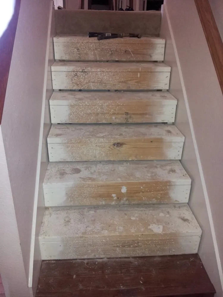 Slide of Revely's Handy Pro