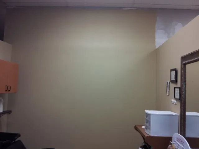 Slide of Revely's Handy Pro