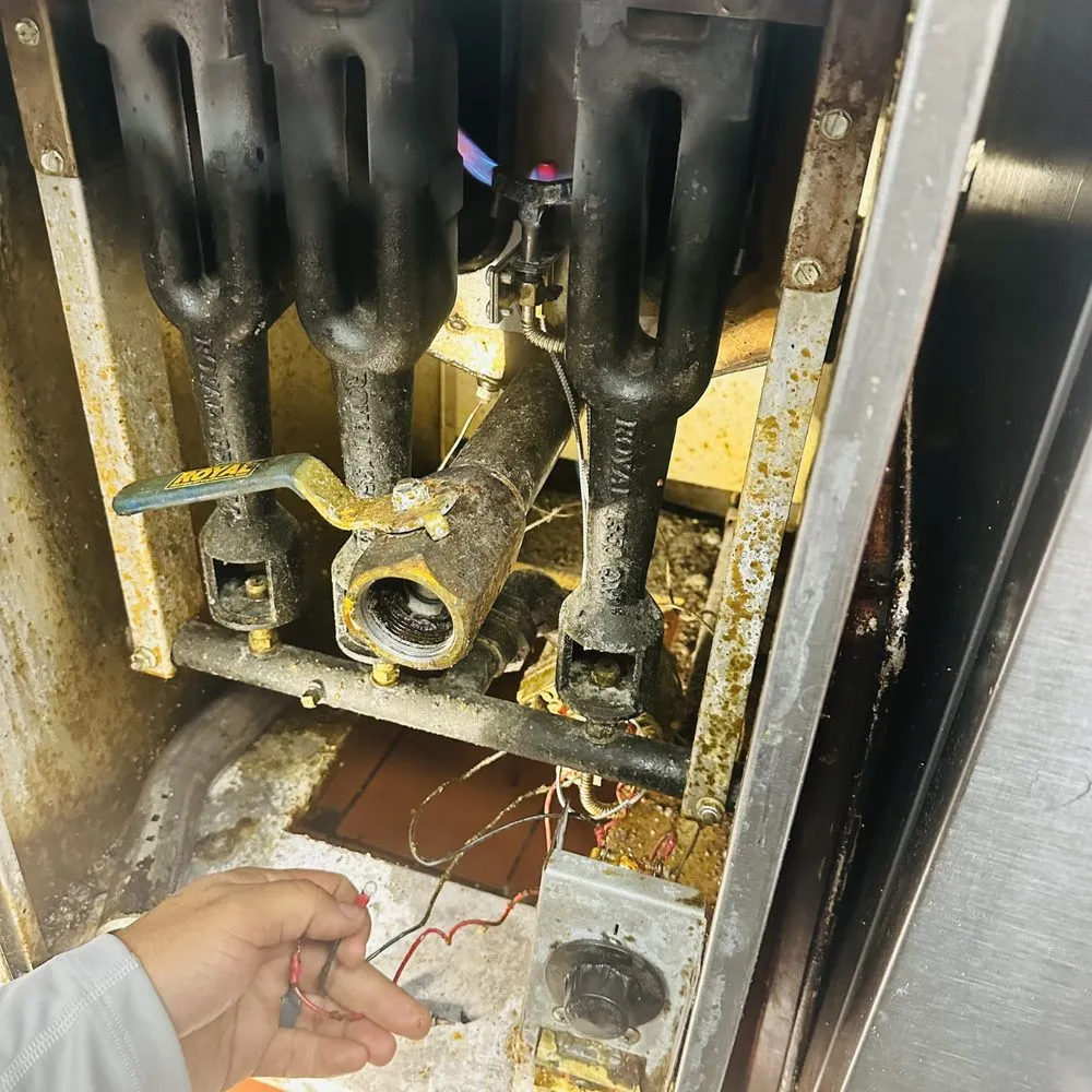 Slide of Rex and Raptors Electrical Service