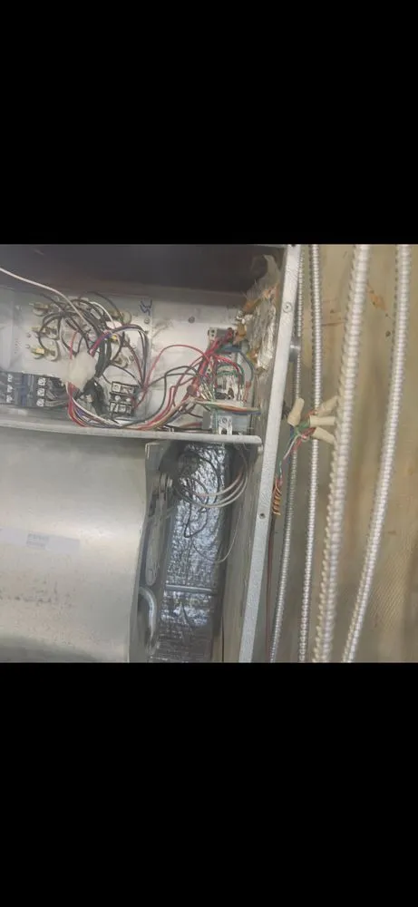 Slide of Rex and Raptors Electrical Service