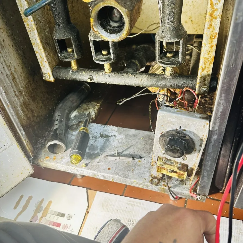 Slide of Rex and Raptors Electrical Service