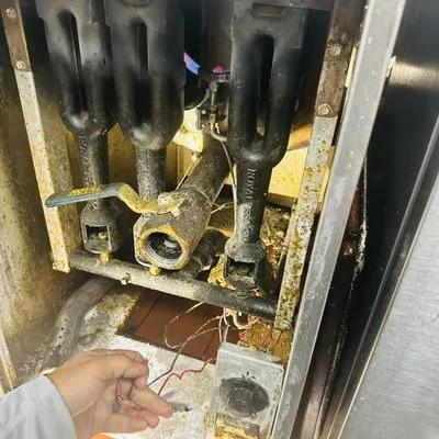 Rex and Raptors Electrical Service Logo