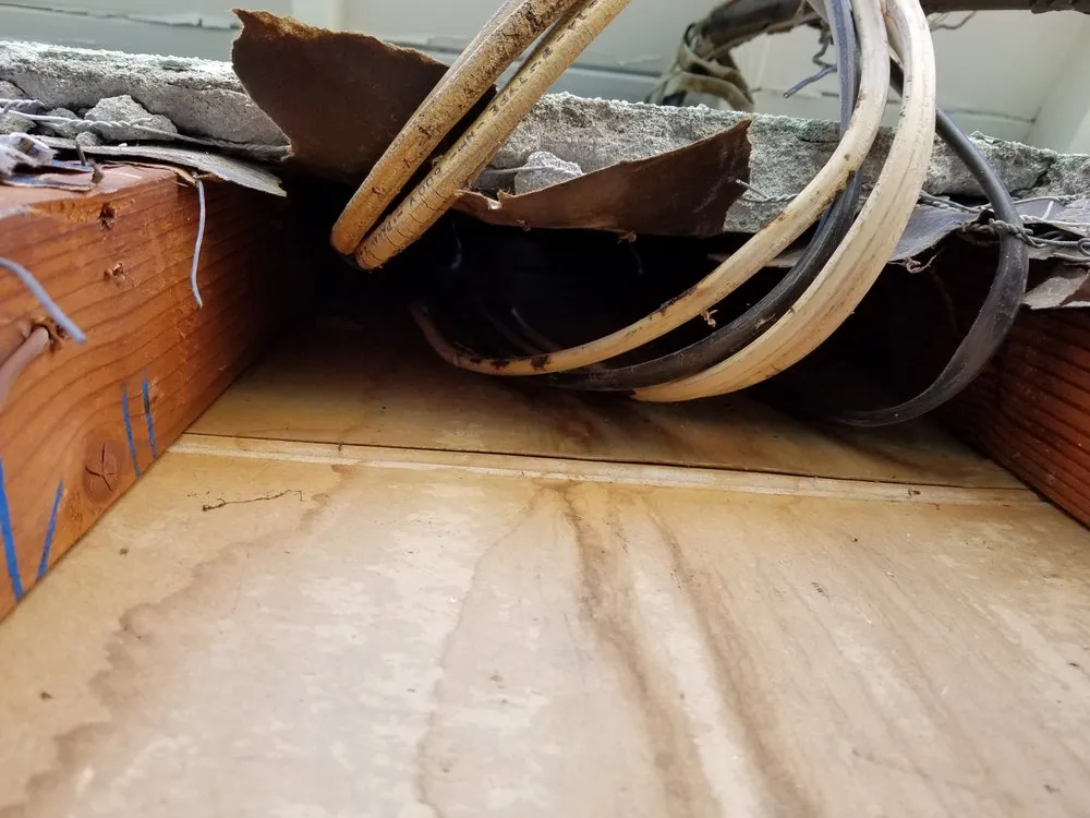 Slide of Rey Electric