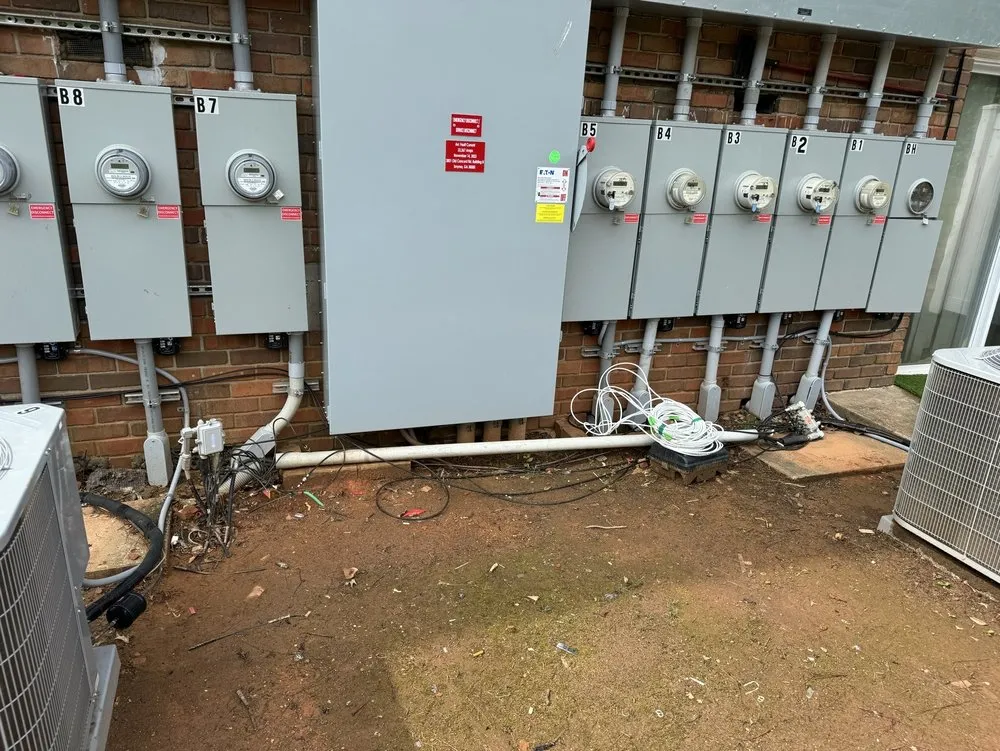 Slide of Reyes Electric HN