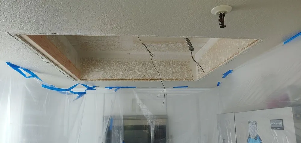 Slide of Rhino construction