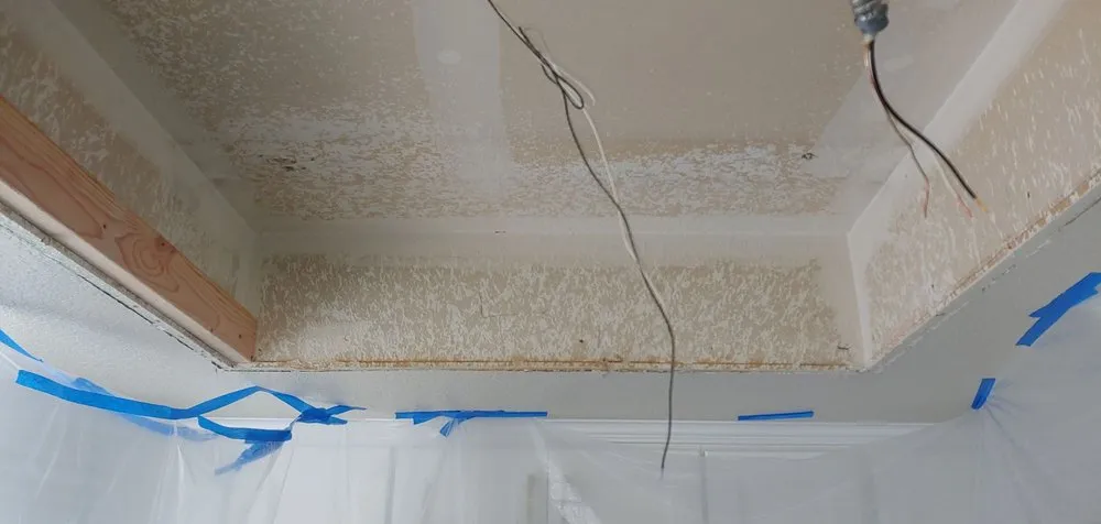 Slide of Rhino construction