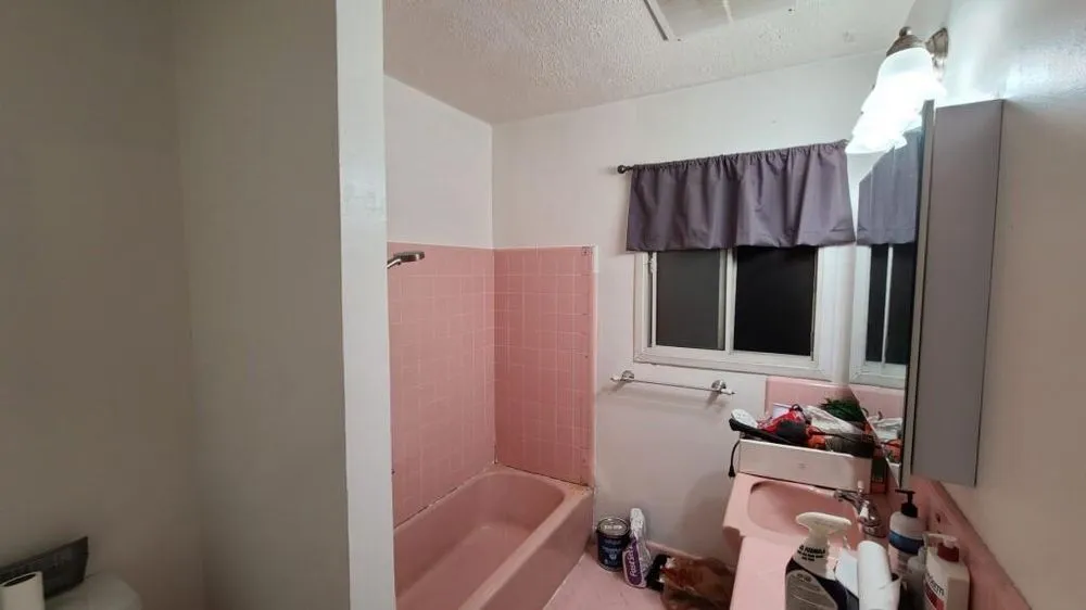 Slide of Rhino construction