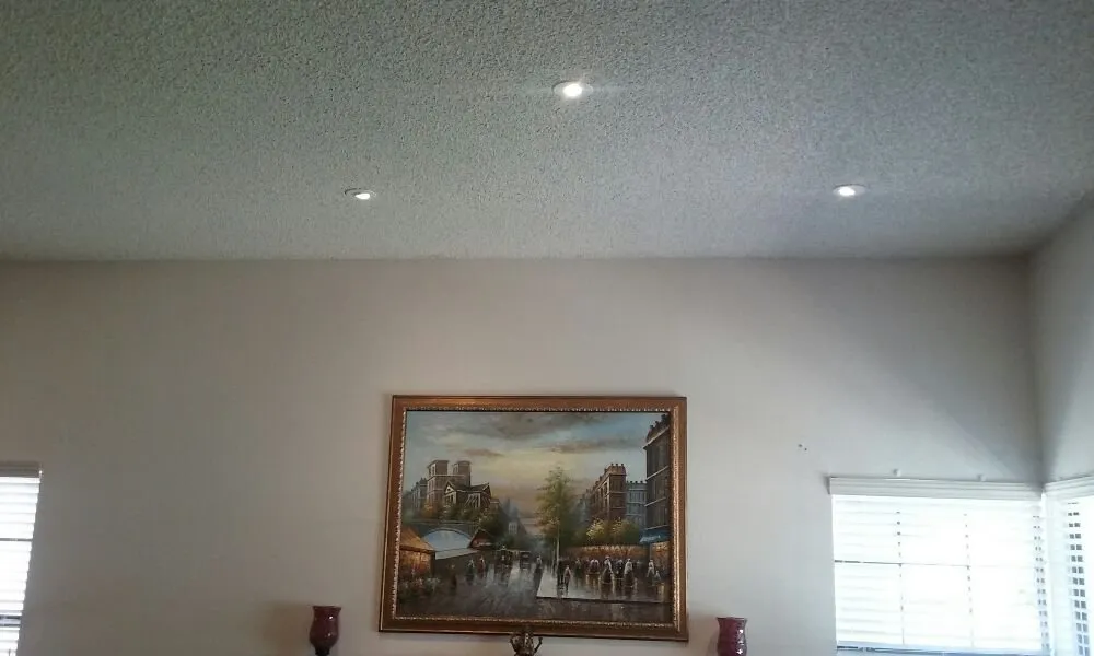 Slide of Rhino's Electric Service