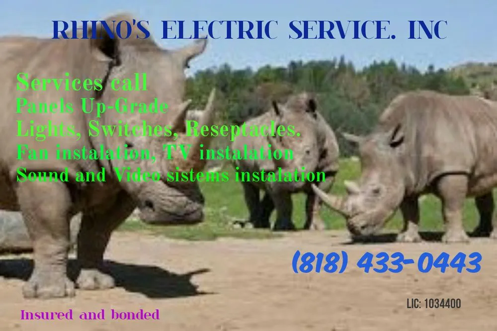 Slide of Rhino's Electric Service