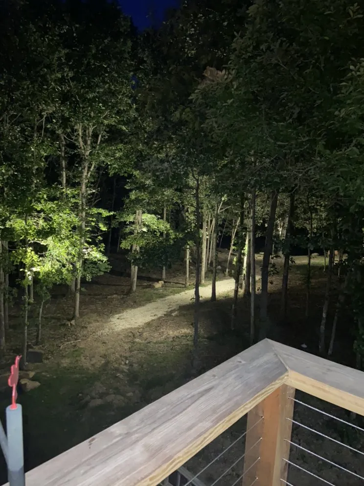 Slide of Rhino's Electric