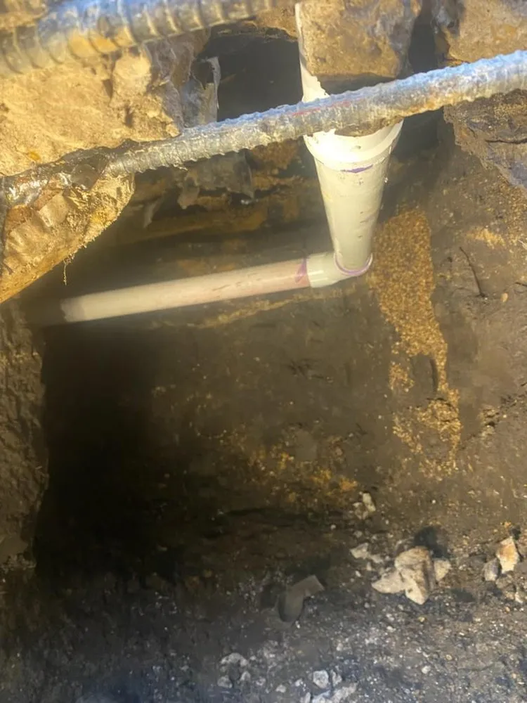 Slide of Ricardo's Services