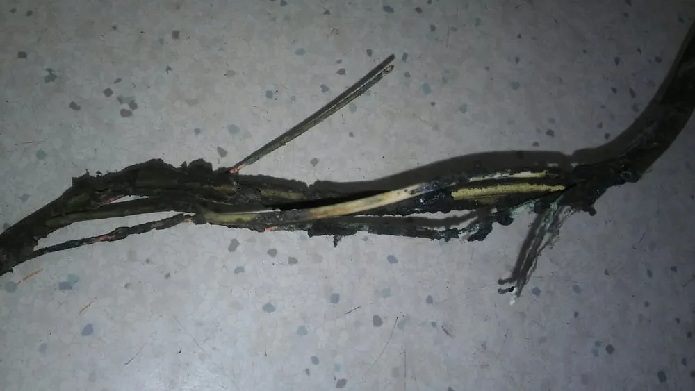 Slide of Richard Craig Electric