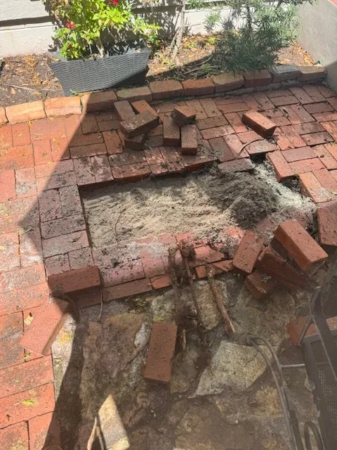 Slide of Richard ND Man