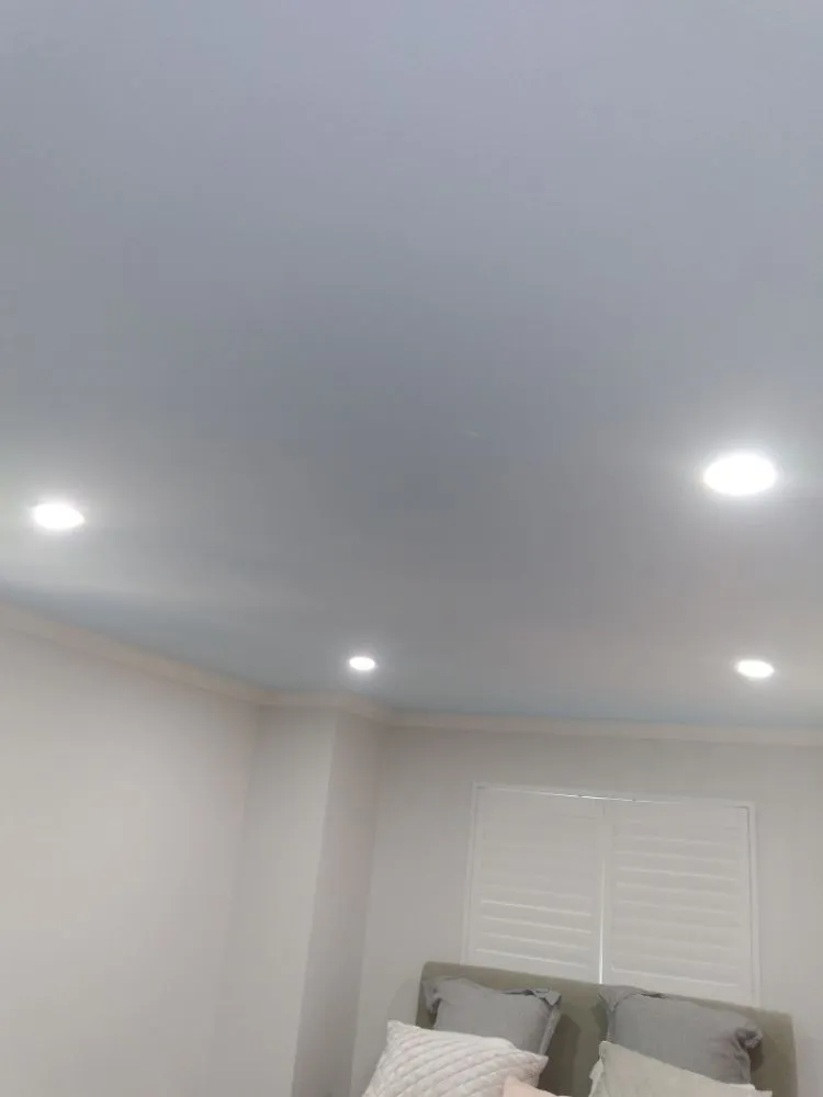 Slide of Rick's Enterprise Electric