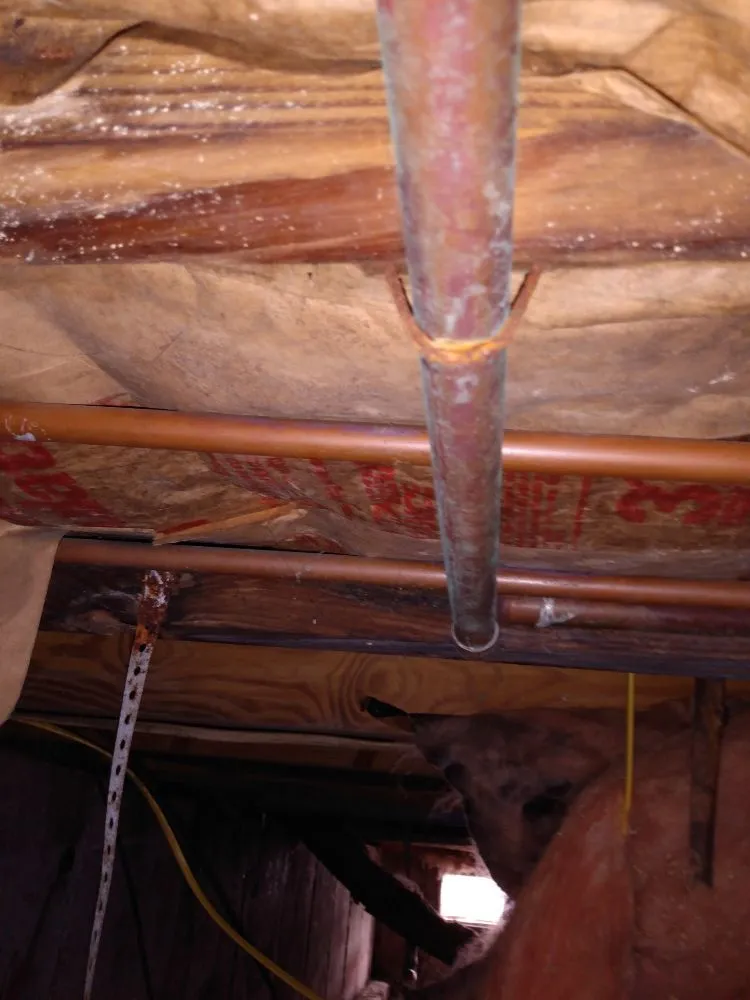 Trusted outlet and switch repair service in ,  - Ricks Painting And Handyman