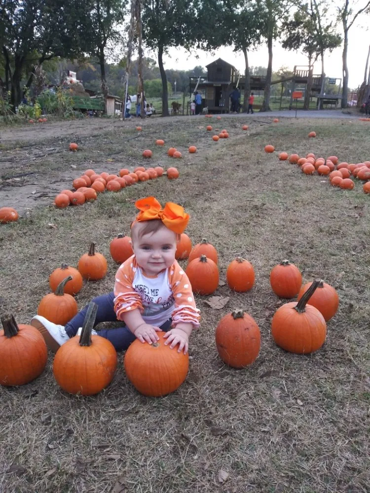 Certified outlet and switch repair in , by Riddell Electrical Services